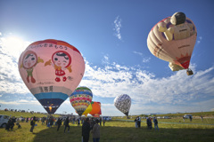 驚きの逆光耐性