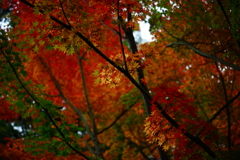 こういうのも好き