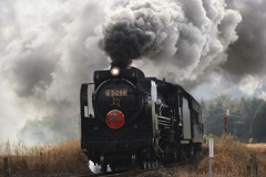 煙這うこと龍の如く