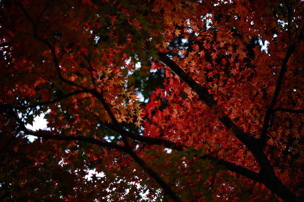 こういうのが好き