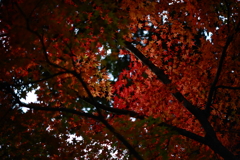 こういうのが好き