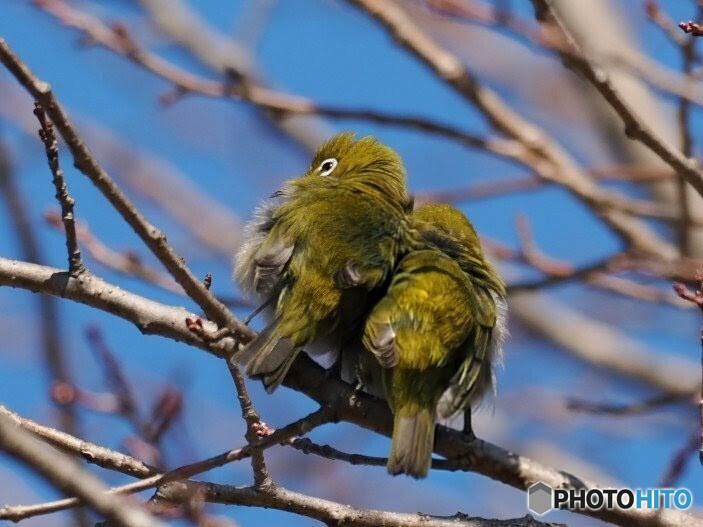 寒いけど、あったかいね。