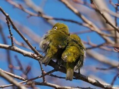 寒いけど、あったかいね。