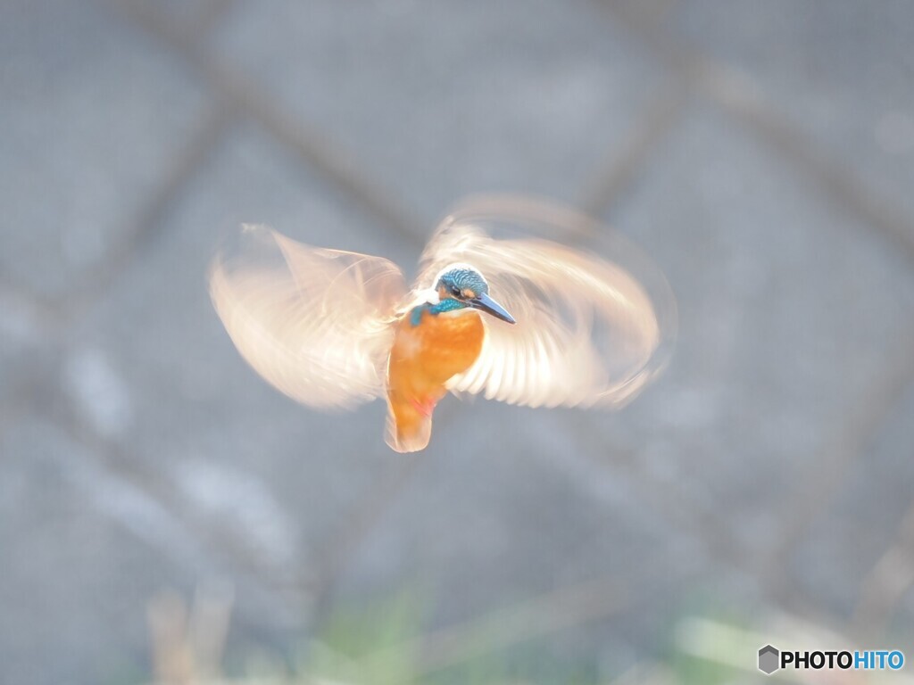 ホバの呼吸、壱の型「美翼」