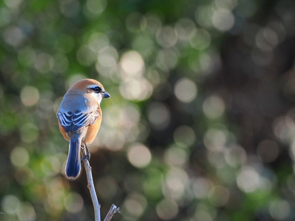 何しよっかな～♪