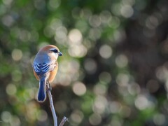 何しよっかな～♪