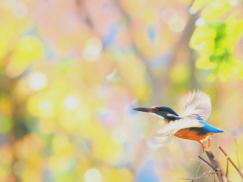 良い一年のスタート！