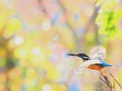 良い一年のスタート！