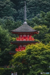 木々に佇む三重塔
