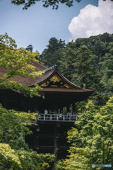 清水寺の舞台