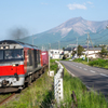 西日に照らされて札幌へ向かう貨物列車