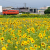 道南いさりび鉄道　夏の沿線風景