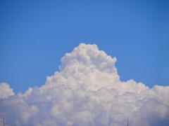 夏の訪れ