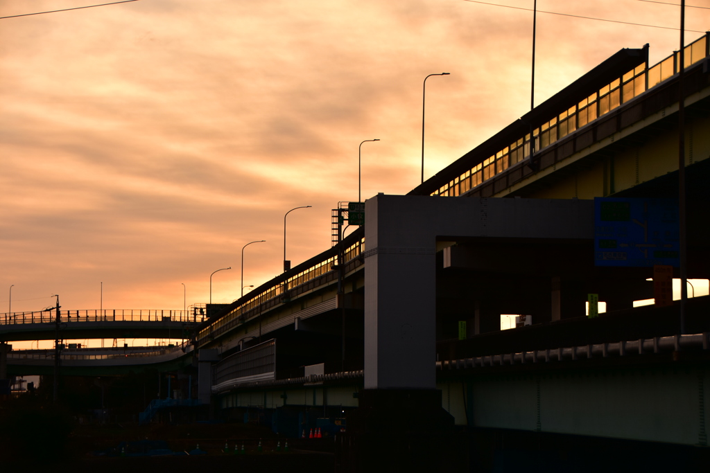 DSC_5944