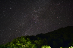DSC_2542_1