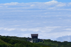 雲海