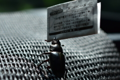 力持ち