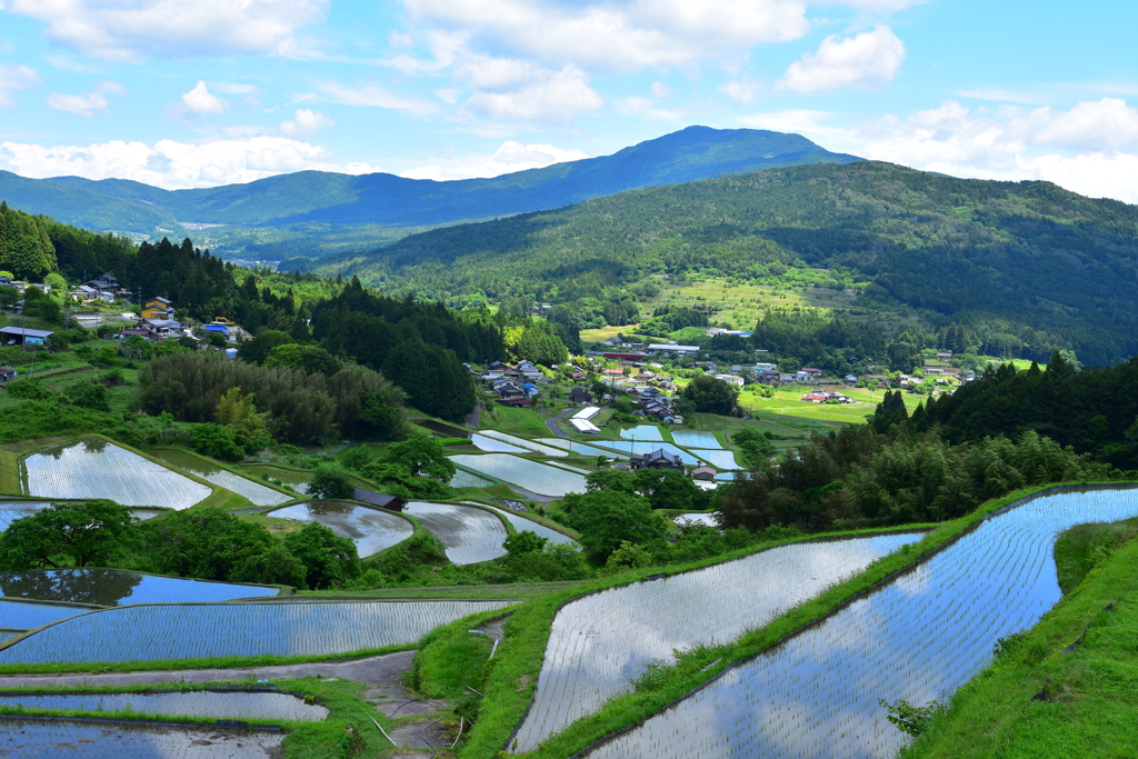 坂折棚田