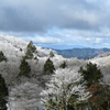 氷の華…霧氷
