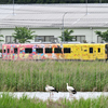 瑞鳥　