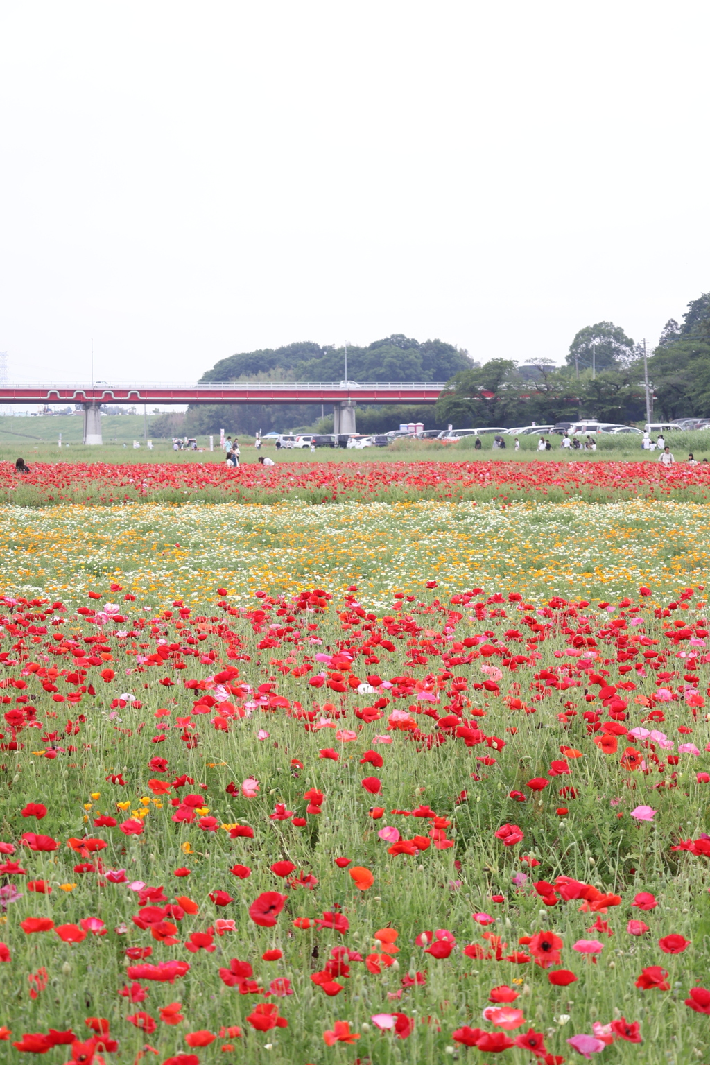 花のミルフィーユ