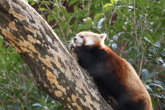 もっと高みへ！