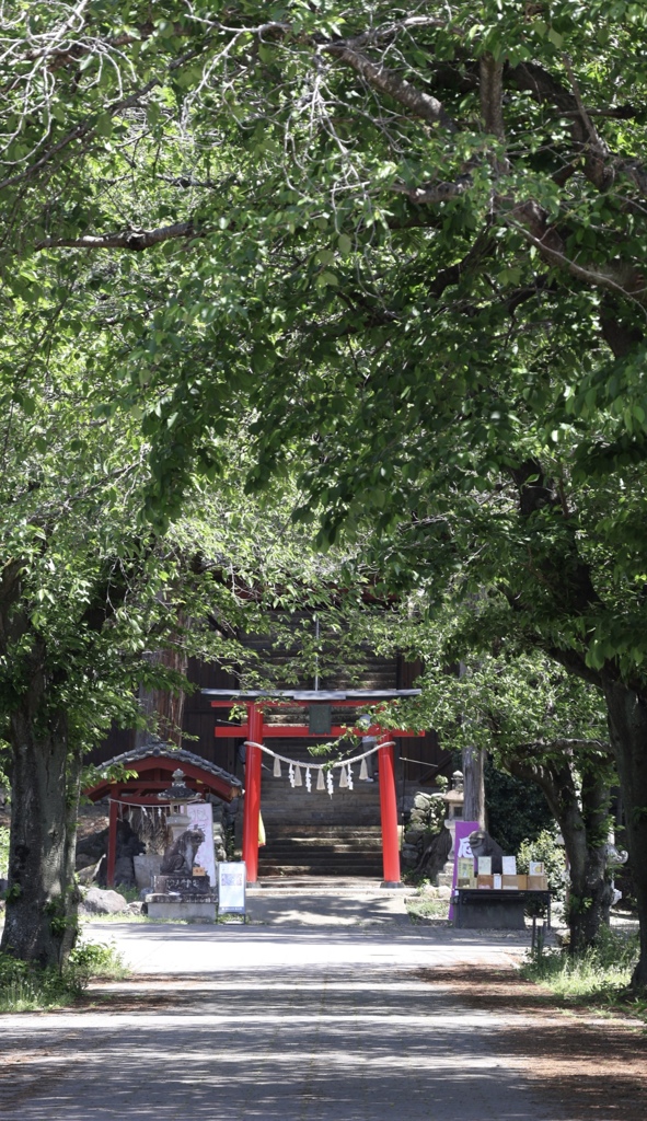 森を抜けたその先に