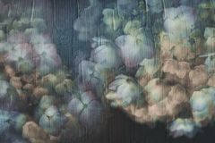 Artifact flow Ⅲ