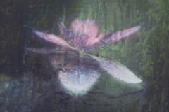 Artifact flow 1