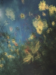 幻想花壇
