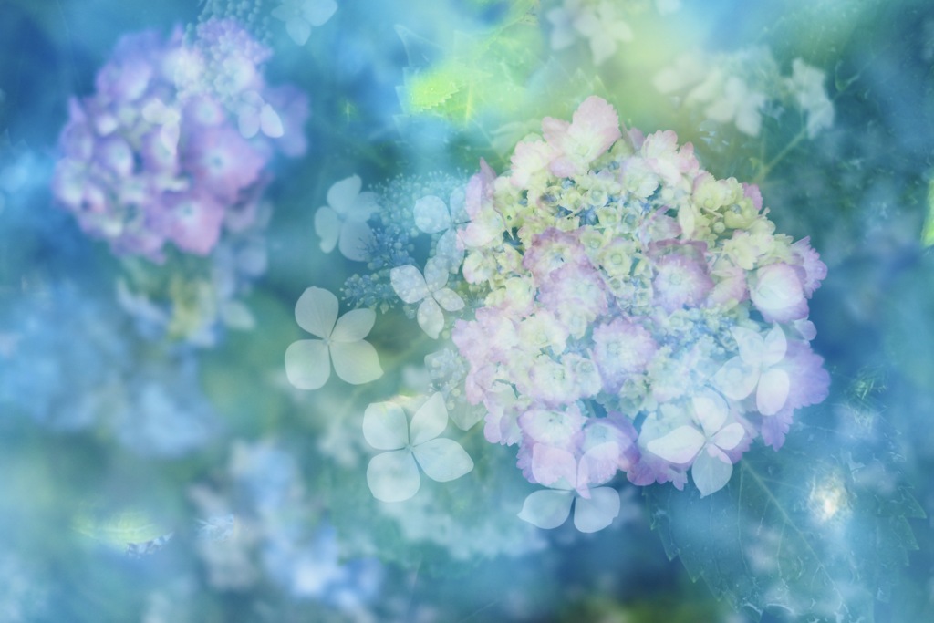 水鏡