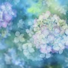 水鏡