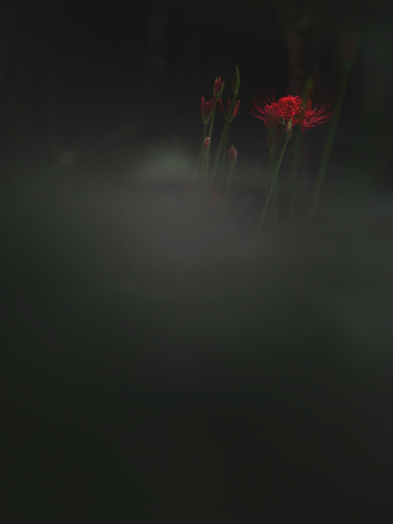 闇夜に浮かぶ