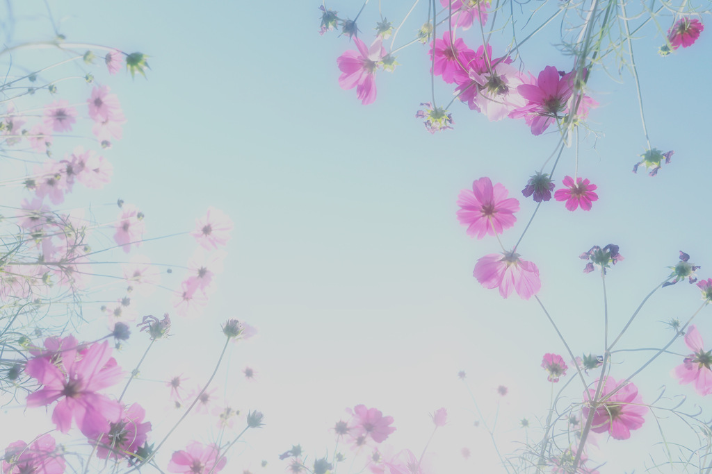 3F6AE156-EC1C-40D6-B03C-5EA7087605EF