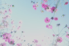 3F6AE156-EC1C-40D6-B03C-5EA7087605EF