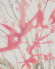 9842BC8A-1116-435A-9956-61C354E12090