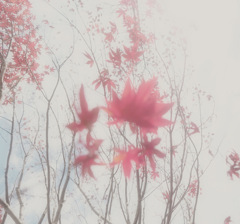3C4FB64D-D332-4946-952D-F1D9782BEFF8
