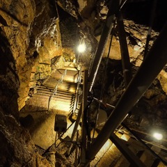8E7D932C-BC23-458C-B2C9-5B5E5CD06303