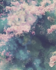 朧