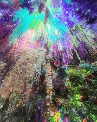 E44488EA-D856-4B5D-A40B-013B1B40B952