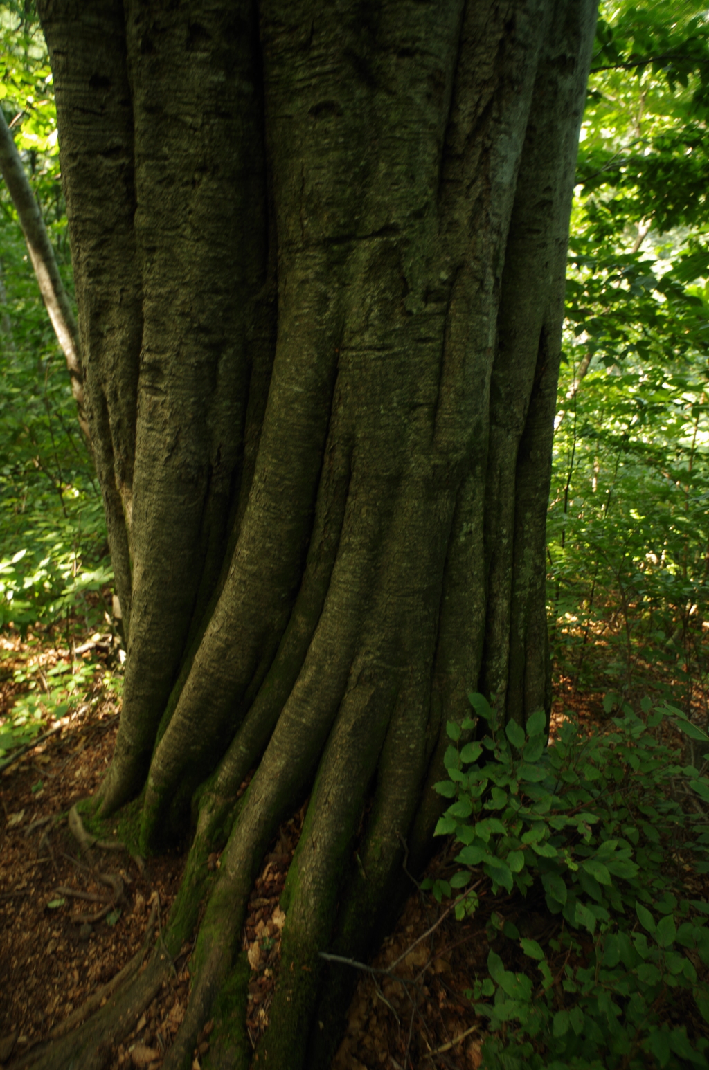 ねじれた時間関係