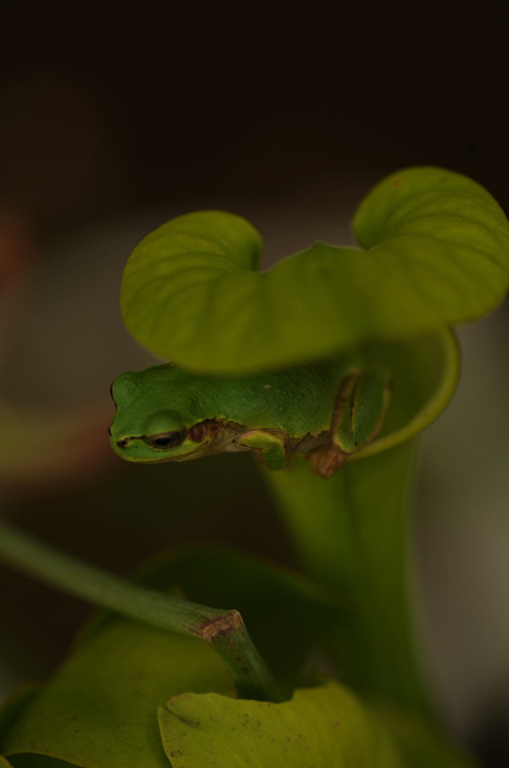 またのお越しをお待ちしております