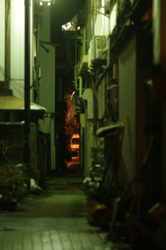 路地
