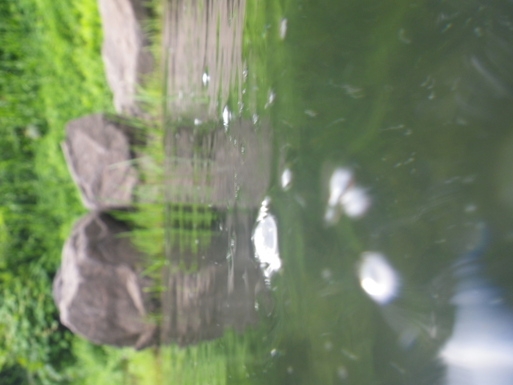 IMGP0004