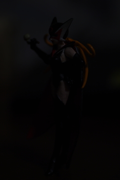 IMGP8643