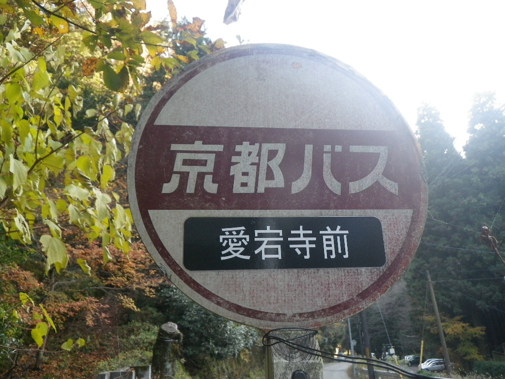 IMGP4395