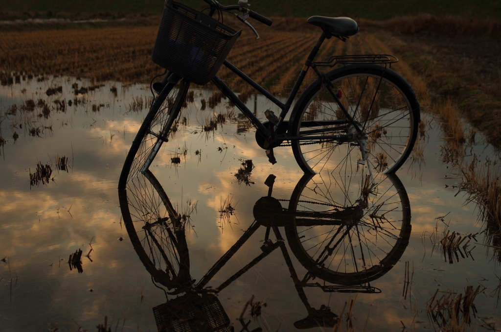 水の上の自転車