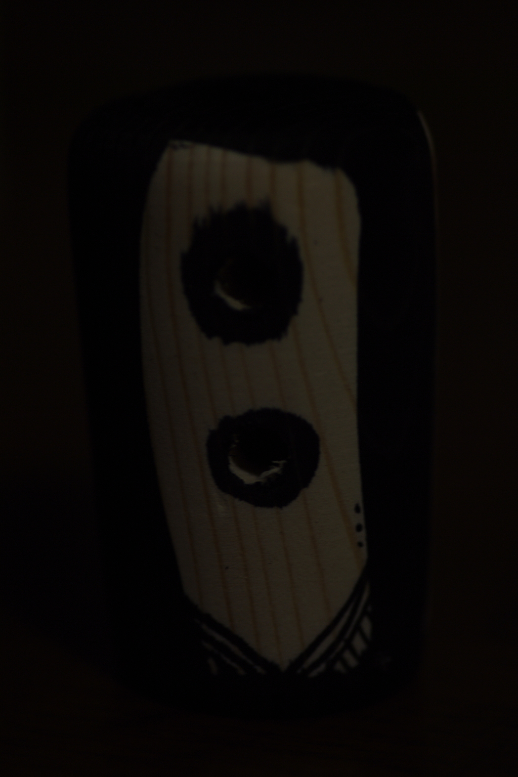 IMGP8593