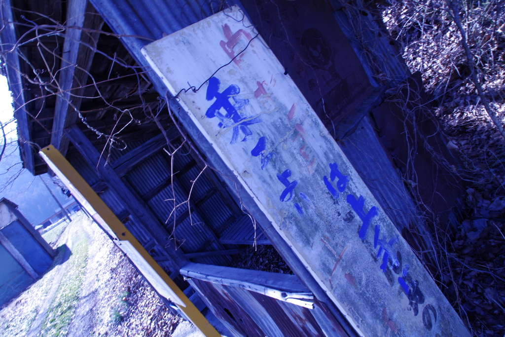 IMGP4875