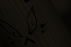IMGP8623